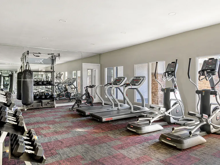 From cardio to strength, everything you need is here.
