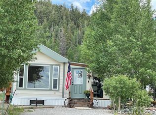 116 Clubcar Rd LOT DSP 16, Hartsel, CO 80449