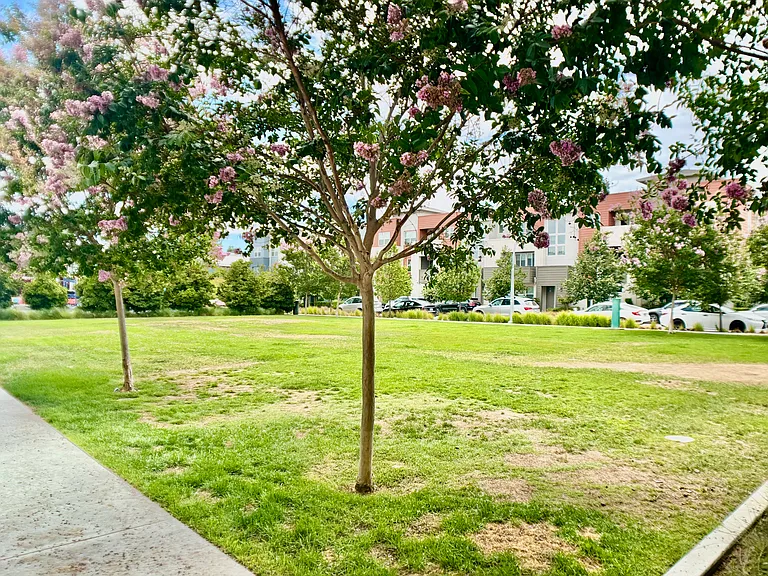 2933 Lamory Pl #113 — Photo 30