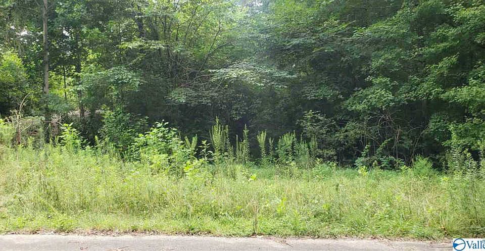2nd image of 118 Hunters Hill Trl