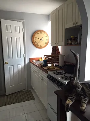 Rented by Gotham City Realty Group | media 16