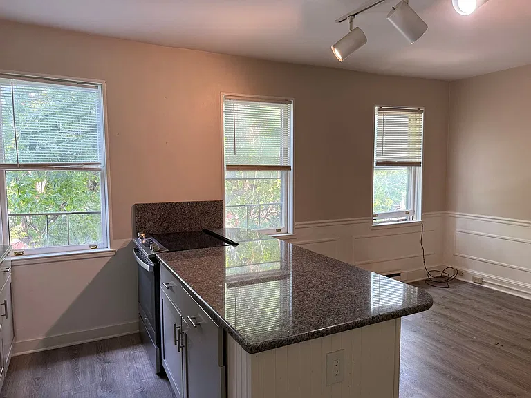 132 E. Lemon St. — Photo 4