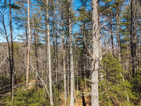 5th image of 112 Big Foot Ln