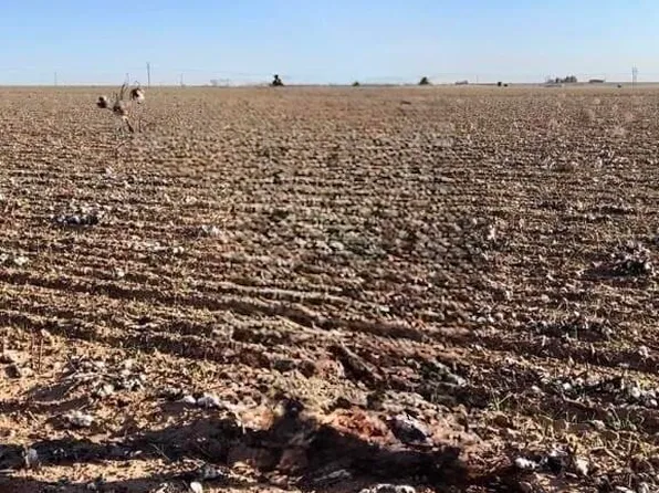 6437 & 6441 Cotton Country Rd, Ropesville, TX 79358