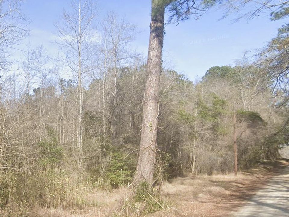 1st image of 0 Snake Branch Dr