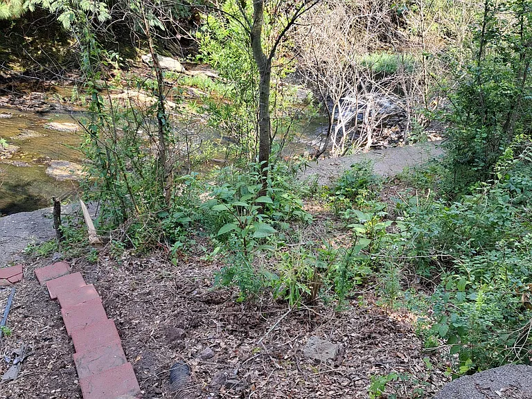 224 Dryad Ln — Photo 11