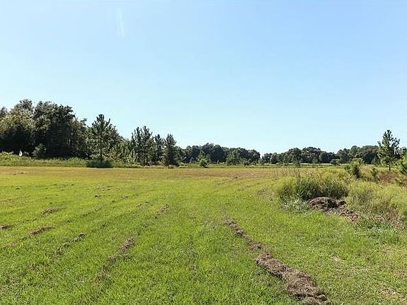 5th image of 24911 County Road 33