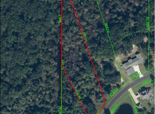 8407 Spring Forest Ln, Wesley Chapel, FL 33544