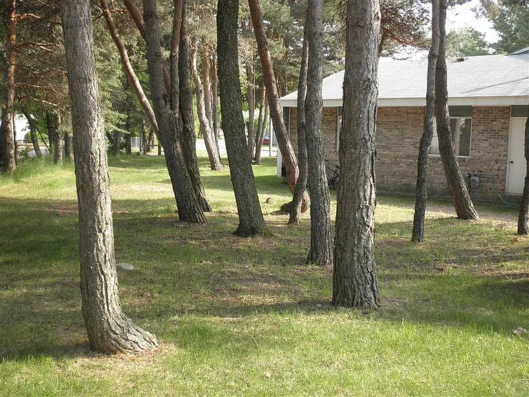 Windmere Pines Apartments — Photo 10
