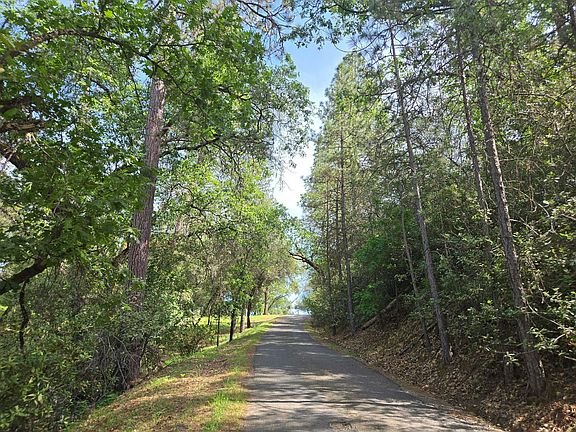 5th image of 1244 Tree Top Rd