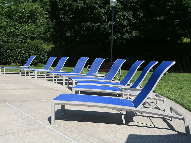 Poolside Oasis