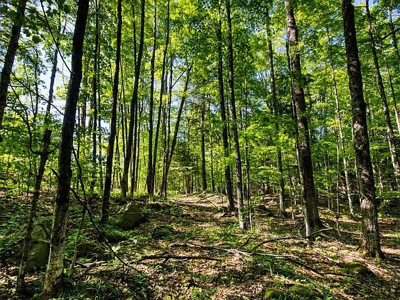 3rd image of 0 Tobacco Rd