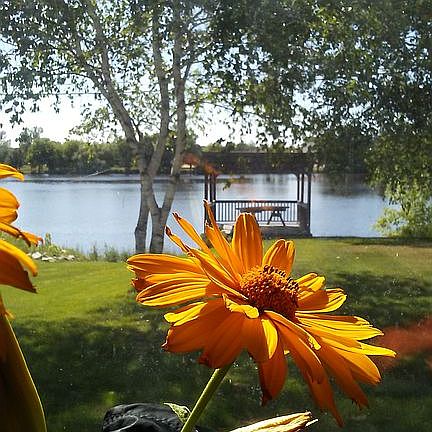 View from breakfast table