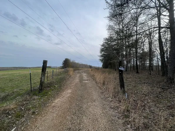 0 Ducktown Rd, Iron City, TN 38463