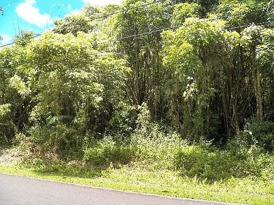 4th image of Malama St Lot 38