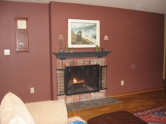 great fireplace with custom glass doors