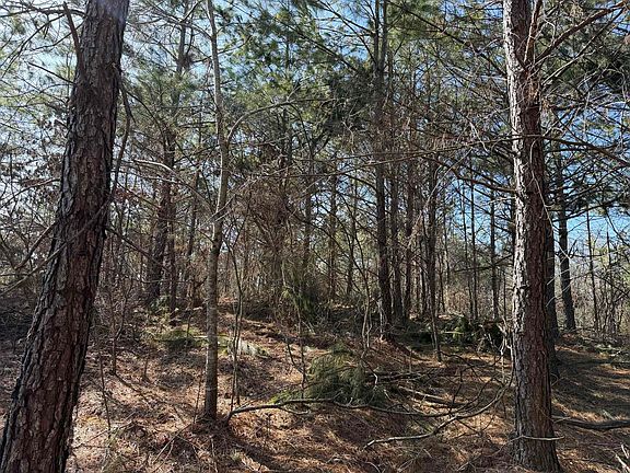 5th image of 2 Pyburn Dr