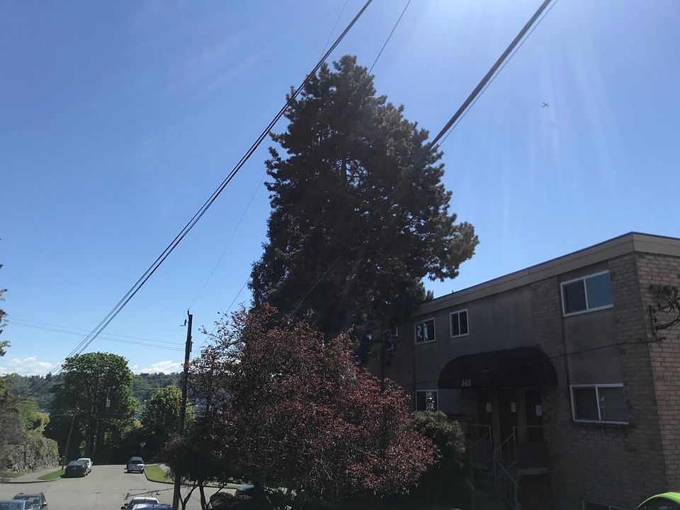 2nd image of 569 Lee St APT 3