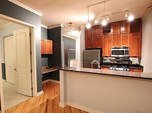 3rd image of 170 W Polk St APT 1203