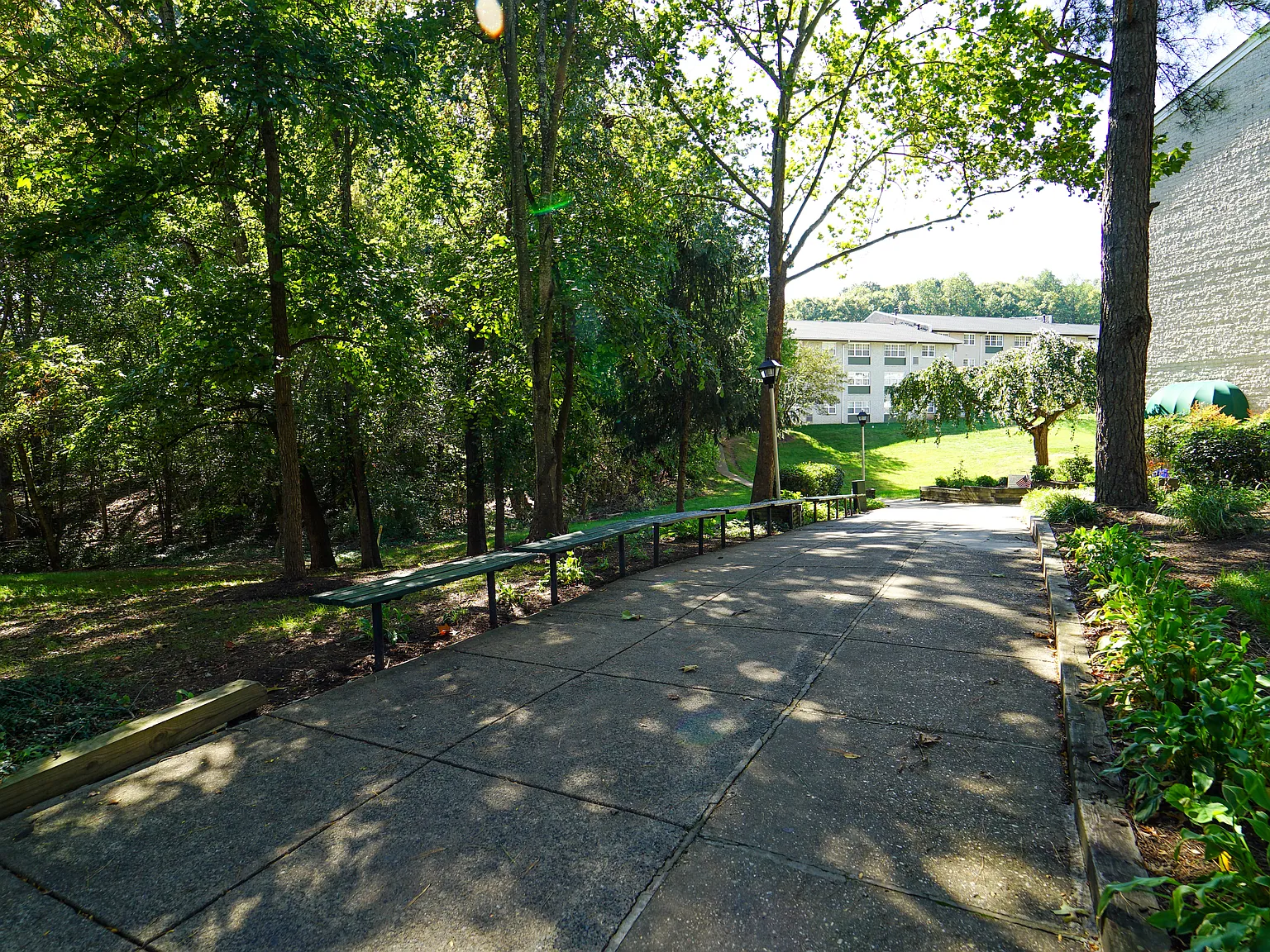 Forest Village Apartments — Photo 3