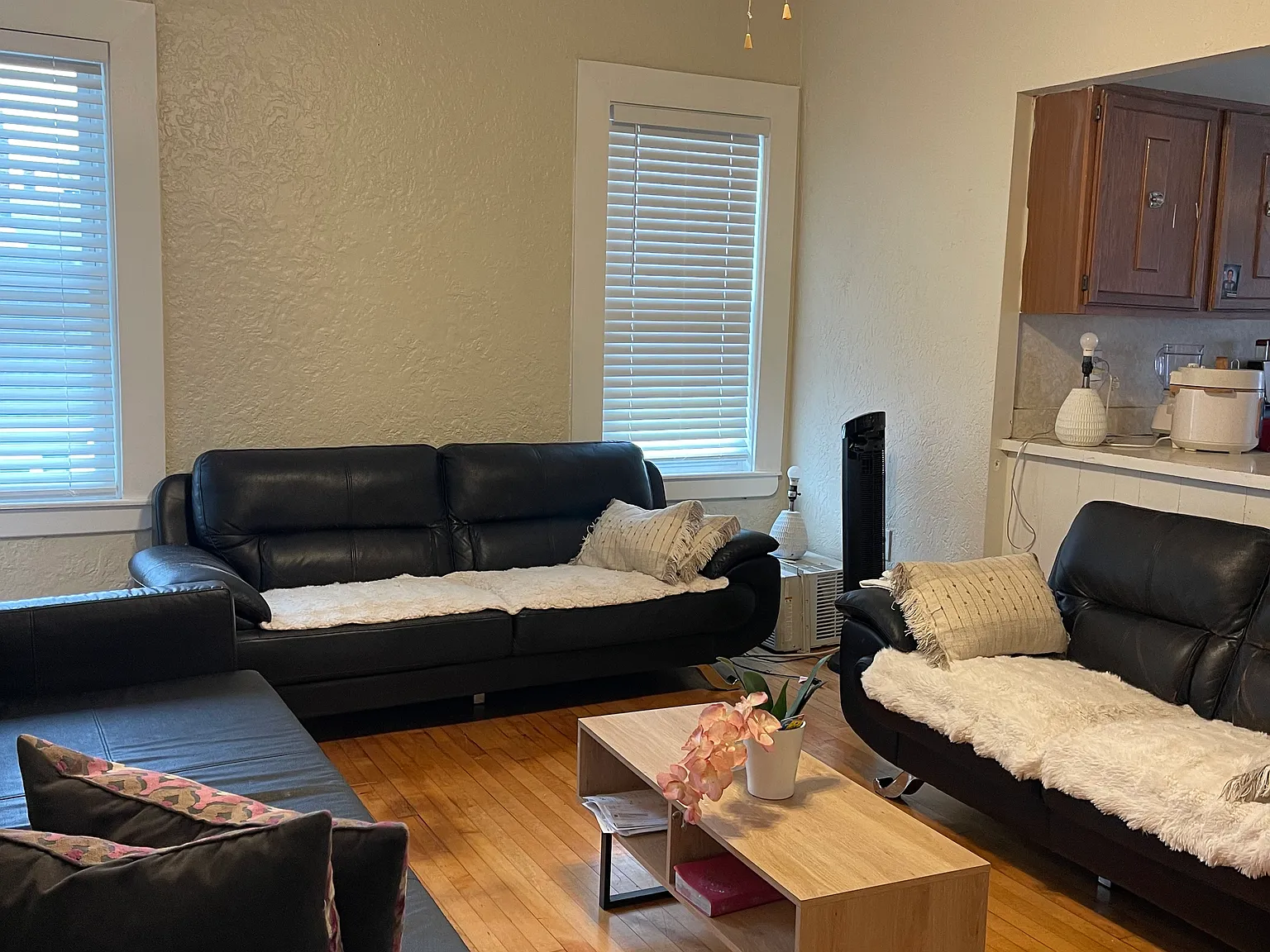 198 Vine St — Photo 3