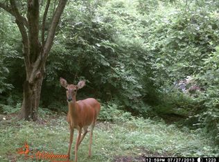 2155 River Rd, Niagara Falls, NY 14304