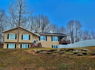11 Kearny Dr, Wantage, NJ 07461