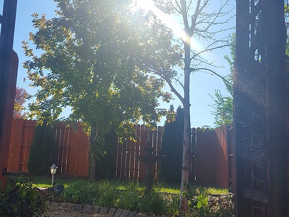 Arbor from Side Yard