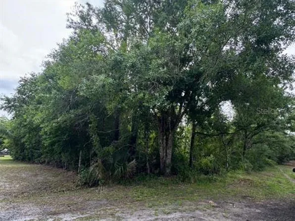 1249 Sable Palm Dr Lot 9, Christmas, FL 32709