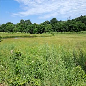 Tbd Jacket Rd, Seligman, MO, 65745