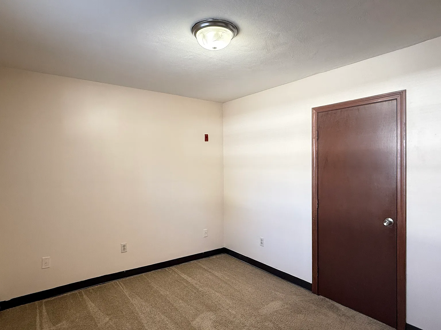 1 bed, 550 sqft, $1,350 — Photo 4