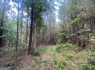 5 Sheppard Rd, Franklin, GA 30217