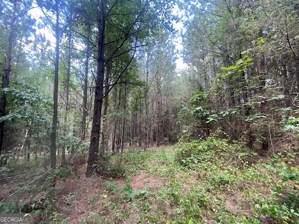 5 Sheppard Rd, Franklin, GA 30217
