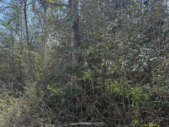 0 Mount Ararat Rd, Marianna, FL 32448