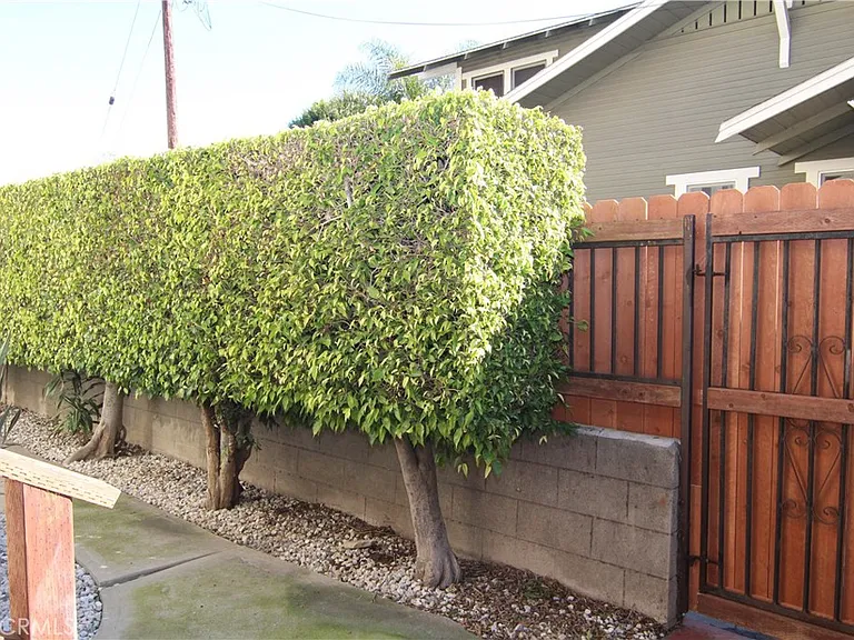 429 Olive Ave — Photo 26