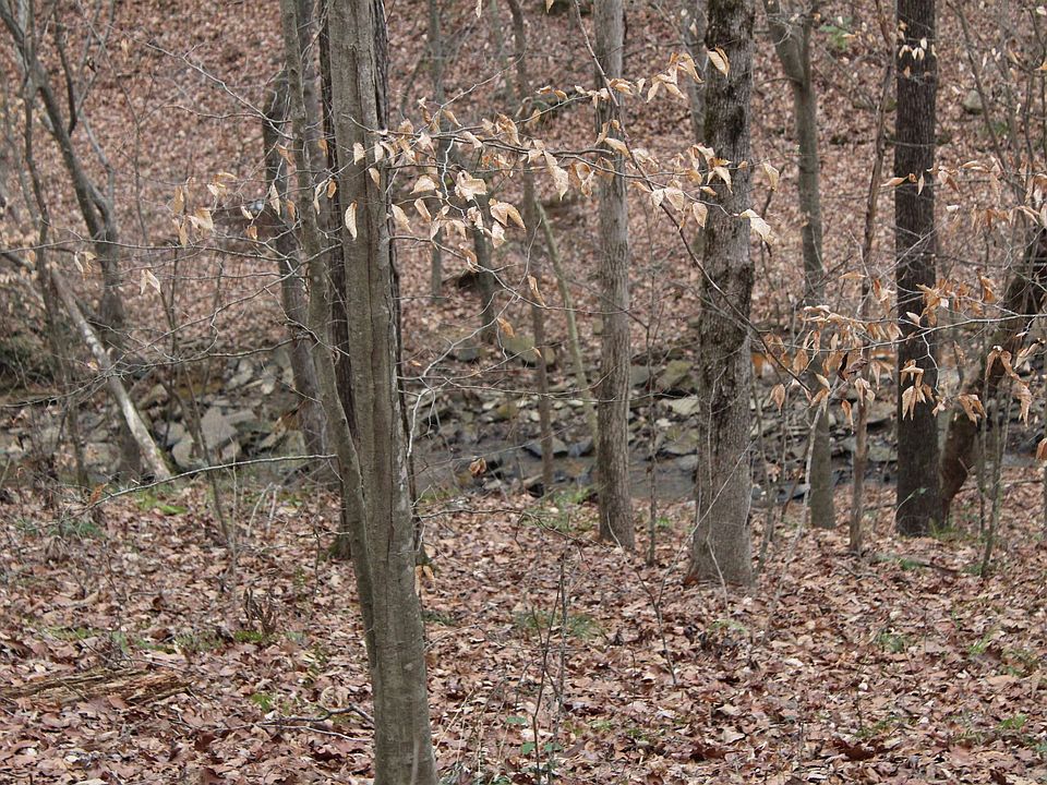 9 Quail Run Dr, Cullman, AL 35057 MLS 508993 Zillow