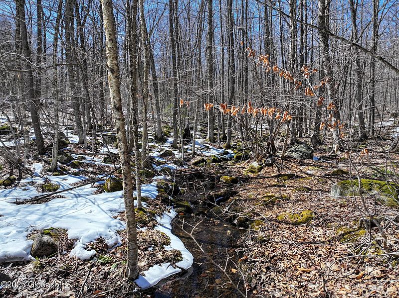5th image of L47 Cobble Creek