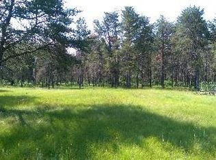 162 Fire Tower Rd, Lewiston, MI 49756