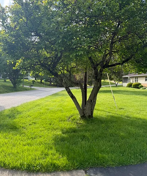 212 Hoffman Rd — Photo 23