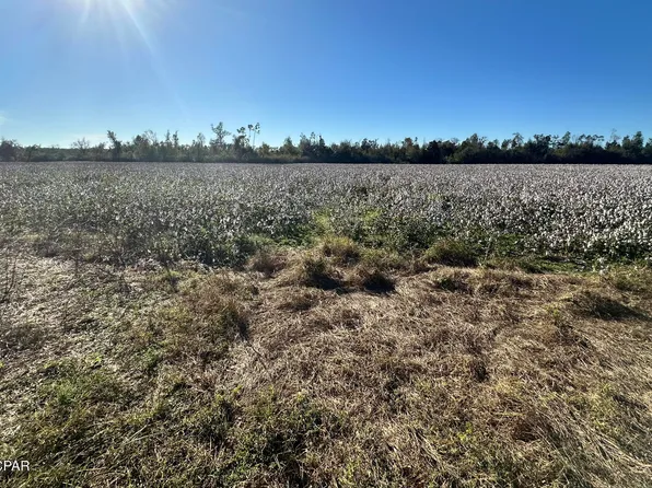 0 NE John Redd Rd, Blountstown, FL 32424