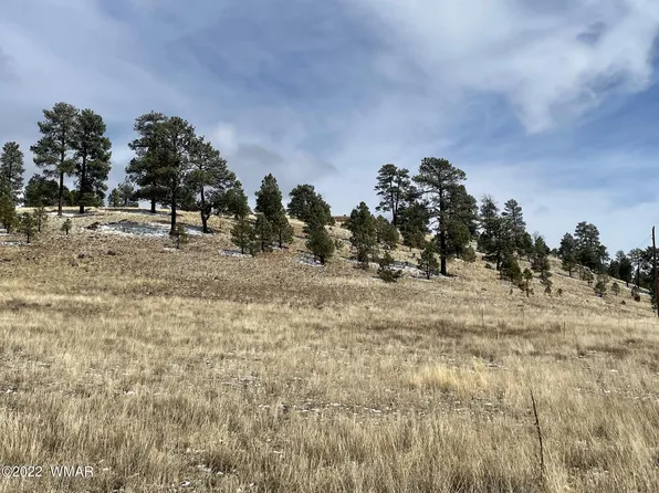 19 County Road 2331, Alpine, AZ 85920