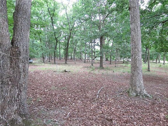 2nd image of 343 Shadow Mountain Ln
