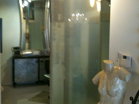 Custom Glass Wall Den/Office