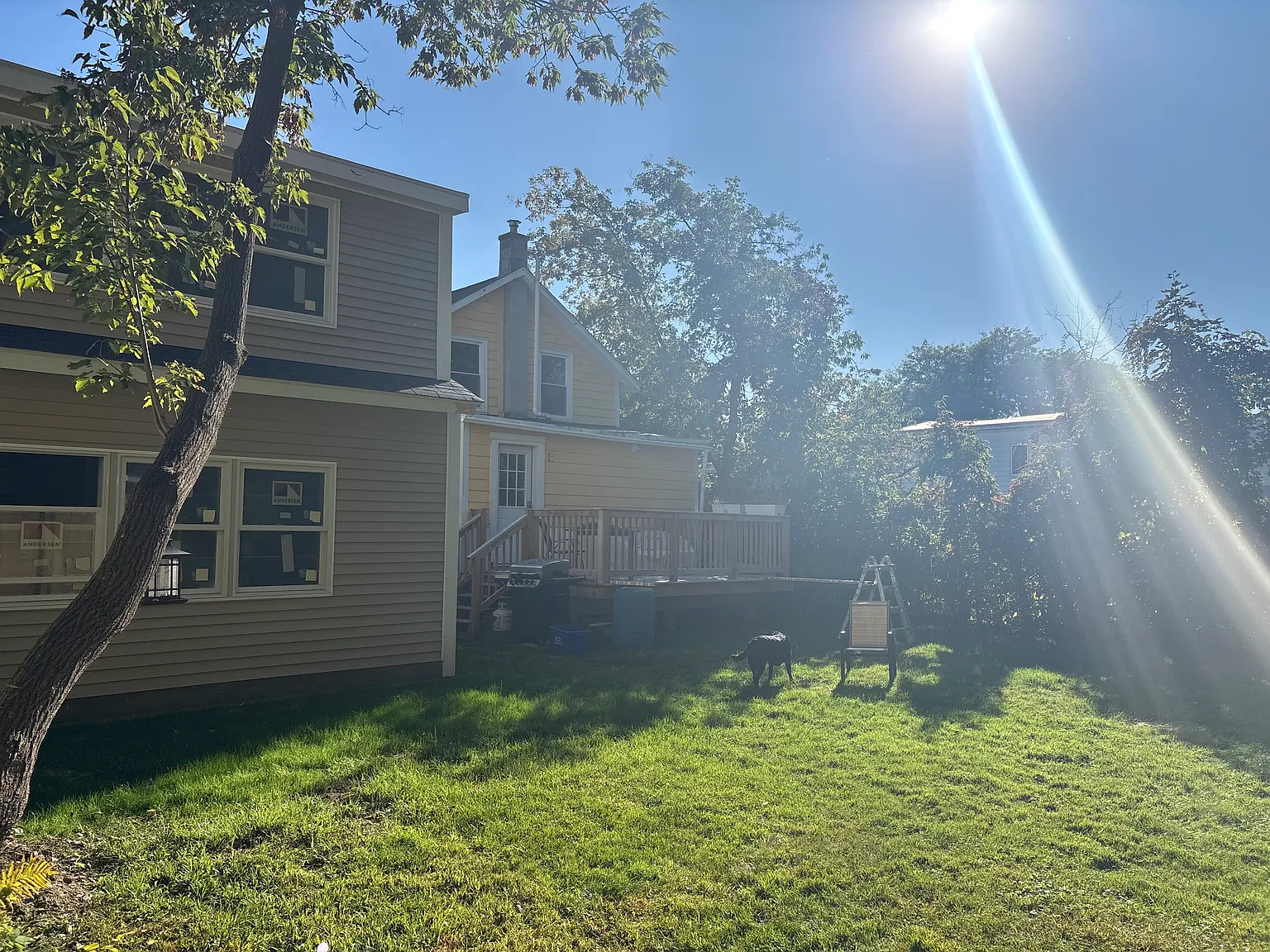 2 bed, 850 sqft, $2,300 — Photo 3