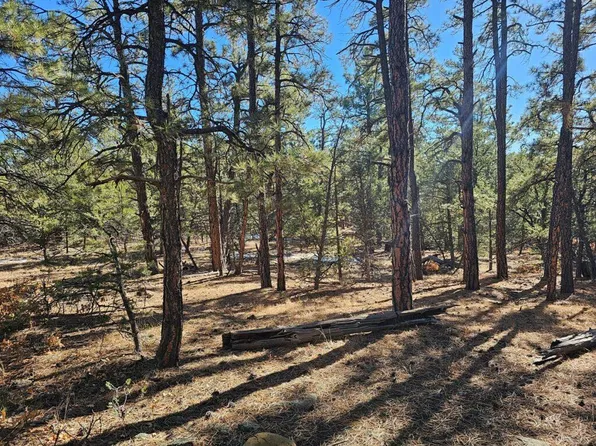 Ridge Spur Ln Unit 1, Trinidad, CO 81082
