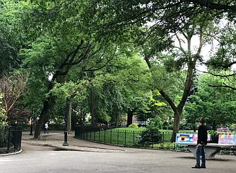 Rented by MOTION New York