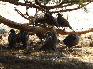 12 Heaven Hill Way, Carson City, NV 89706