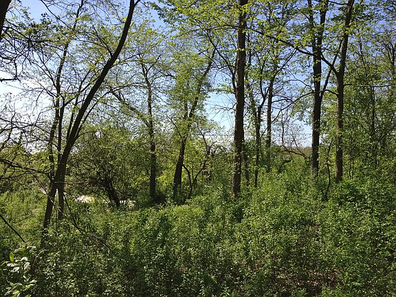 2nd image of N0000 Alta Vista Dr