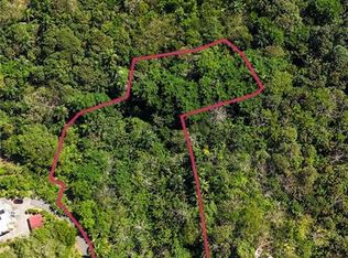 Carr 414 Km 3.2 Bocruces, Aguada, PR 00602
