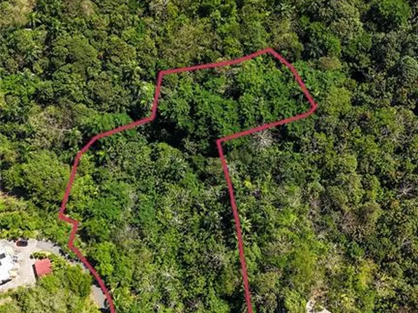 Carr 414 Km 3.2 Bocruces, Aguada, PR 00602
